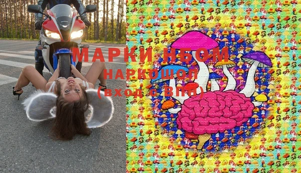 круглые Алзамай