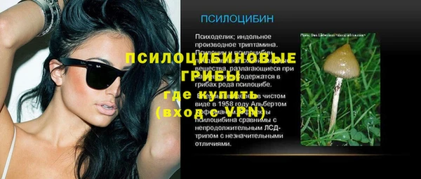 круглые Алзамай