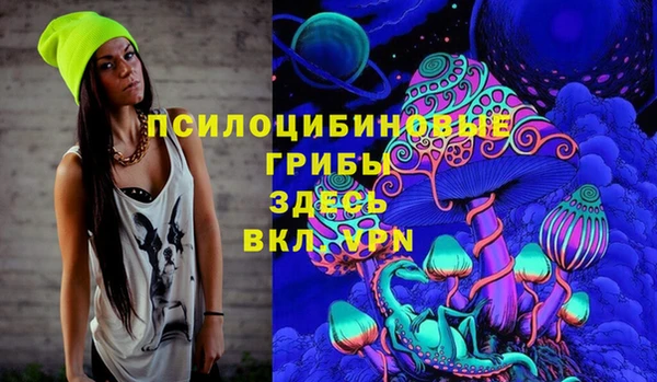 круглые Алзамай