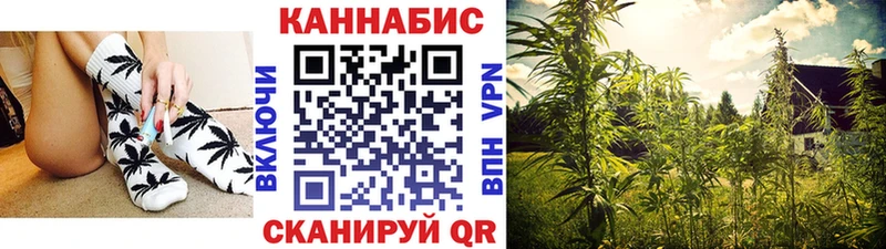сайты даркнета телеграм  Трёхгорный  Бошки марихуана Ganja  наркошоп 